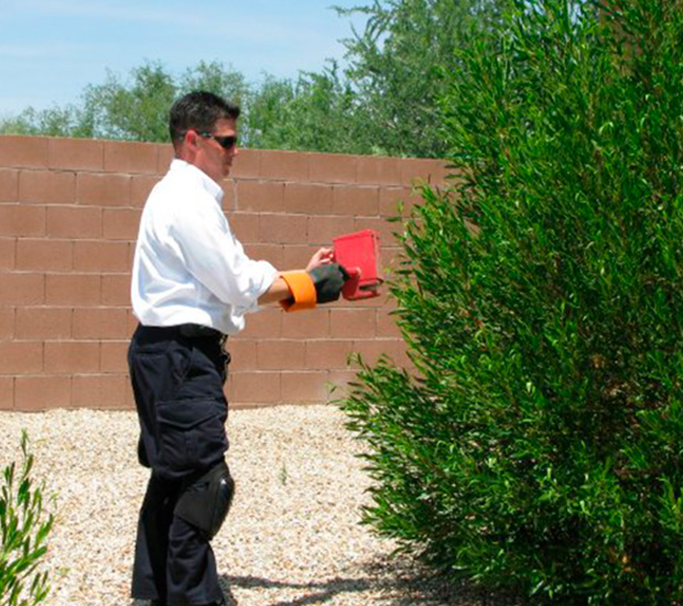 pest specialist outside a house inspesting brush tucson az