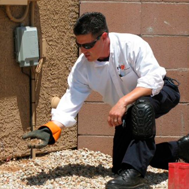 pest treatment specialist inspecting outdoor pest damage tucson az
