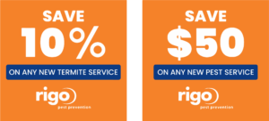 Updated Promo Banner