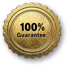 Rigo's Warranty Seal