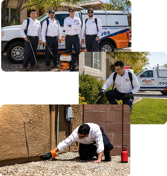Rigo Pest Prevention - Our team