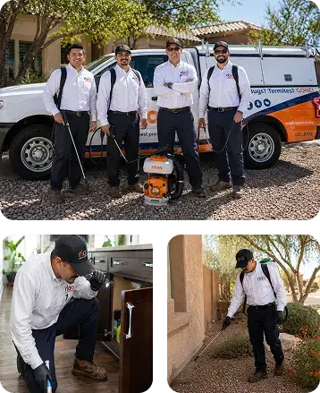 Rigo Pest Prevention - Rigo Proudly Mobile Homepage